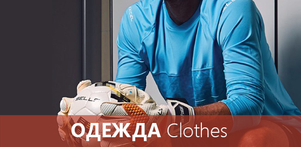 Одежда
